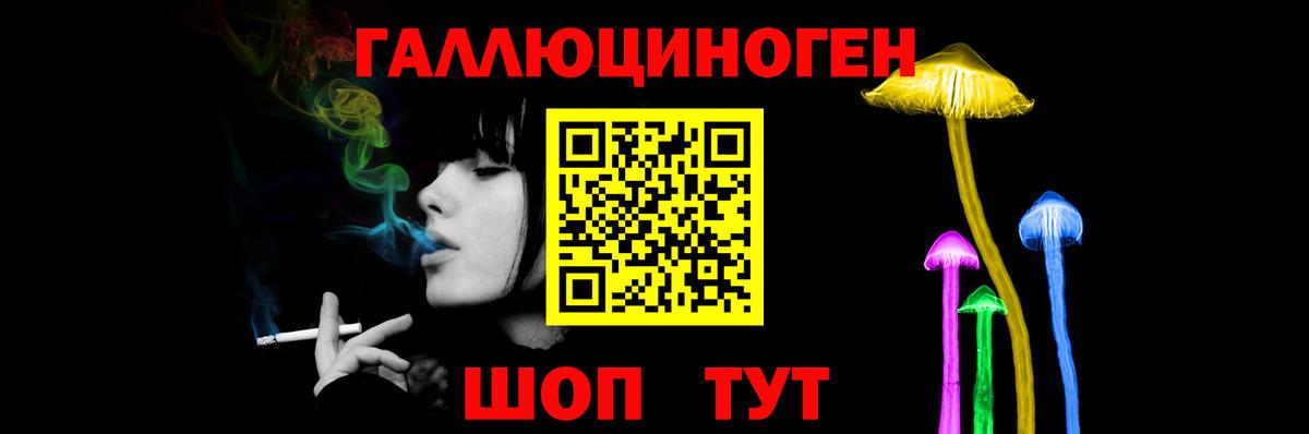 хочу   Вход с VPN  Осинники  Галлюциногенные грибы Psilocybe 