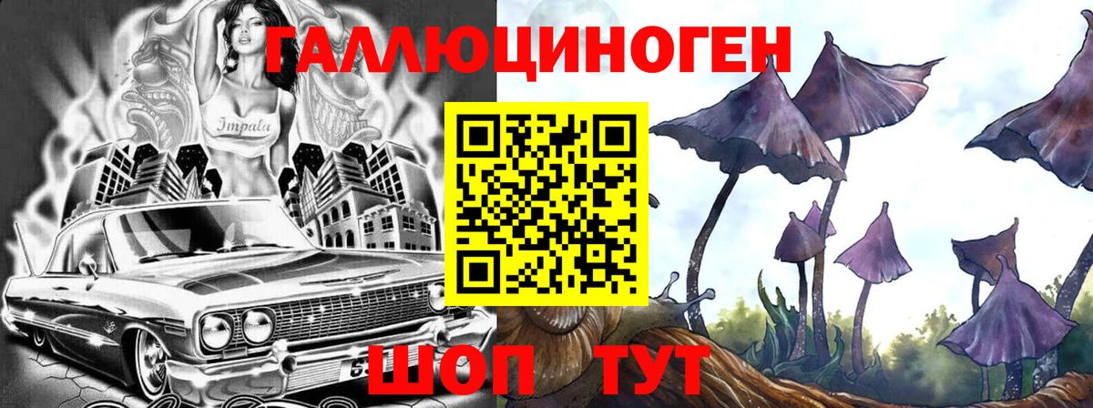 Псилоцибиновые грибы мухоморы Осинники